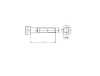 M12x110 İmbus Cıvata 8.8 Siyah (10 Adet) - Thumbnail (2)